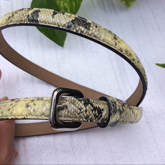 Ann Taylor snake skin embossed beige and black 1/2" belt silver hardware Small - Picture 1 of 4